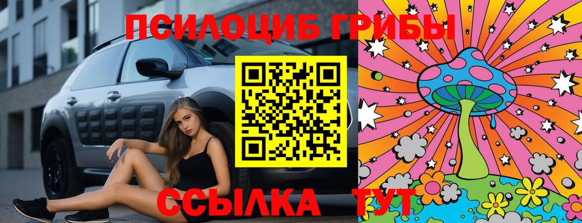 Галлюциногенные грибы Psilocybe  Вход с VPN  Псилоцибиновые грибы MAGIC MUSHROOMS  Губкин 
