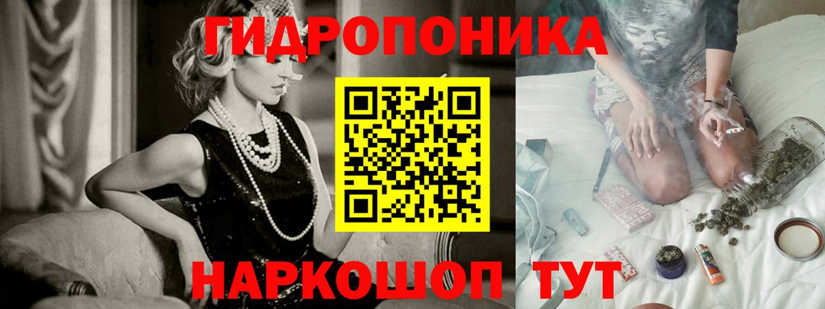 Каннабис конопля Губкин